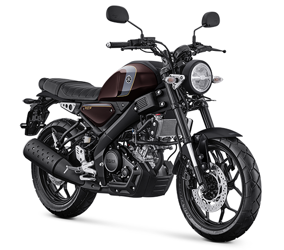 Yamaha XSR - Image 4